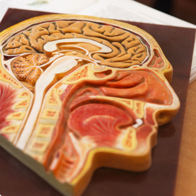 curso_biologia